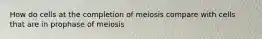 How do cells at the completion of meiosis compare with cells that are in prophase of meiosis