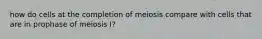 how do cells at the completion of meiosis compare with cells that are in prophase of meiosis I?