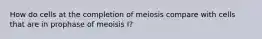 How do cells at the completion of meiosis compare with cells that are in prophase of meoisis I?