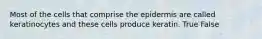 Most of the cells that comprise the epidermis are called keratinocytes and these cells produce keratin. True False
