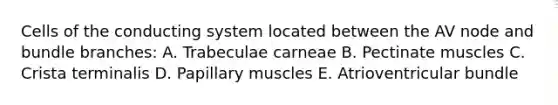 Cells of the conducting system located between the AV node and bundle branches: A. Trabeculae carneae B. Pectinate muscles C. Crista terminalis D. Papillary muscles E. Atrioventricular bundle