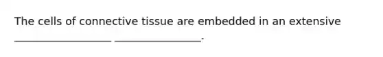 The cells of connective tissue are embedded in an extensive __________________ ________________.
