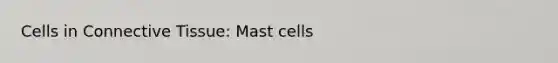 Cells in Connective Tissue: Mast cells