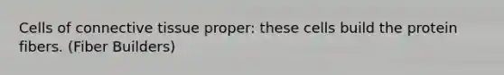 Cells of connective tissue proper: these cells build the protein fibers. (Fiber Builders)
