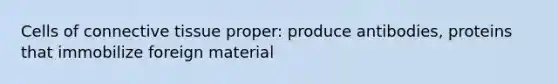 Cells of connective tissue proper: produce antibodies, proteins that immobilize foreign material