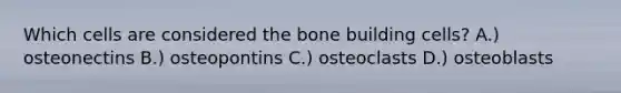 Which cells are considered the bone building cells? A.) osteonectins B.) osteopontins C.) osteoclasts D.) osteoblasts