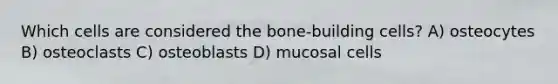 Which cells are considered the bone-building cells? A) osteocytes B) osteoclasts C) osteoblasts D) mucosal cells