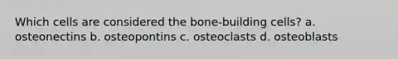 Which cells are considered the bone-building cells? a. osteonectins b. osteopontins c. osteoclasts d. osteoblasts