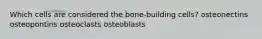 Which cells are considered the bone-building cells? osteonectins osteopontins osteoclasts osteoblasts