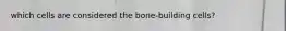 which cells are considered the bone-building cells?