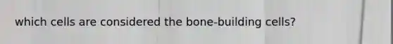 which cells are considered the bone-building cells?