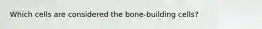 Which cells are considered the bone-building cells?