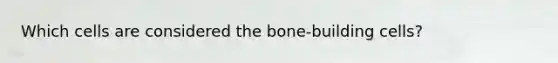 Which cells are considered the bone-building cells?