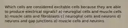 Which cells are considered excitable cells because they are able to produce electrical signals? a) neuroglial cells and muscle cells b) muscle cells and fibroblasts c) neuroglial cells and neurons d) neurons and gap junctions e) muscle cells and neurons