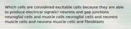 Which cells are considered excitable cells because they are able to produce electrical signals? neurons and gap junctions neuroglial cells and muscle cells neuroglial cells and neurons muscle cells and neurons muscle cells and fibroblasts