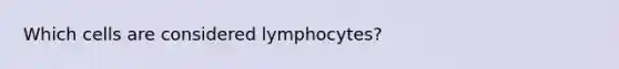 Which cells are considered lymphocytes?