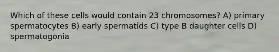 Which of these cells would contain 23 chromosomes? A) primary spermatocytes B) early spermatids C) type B daughter cells D) spermatogonia