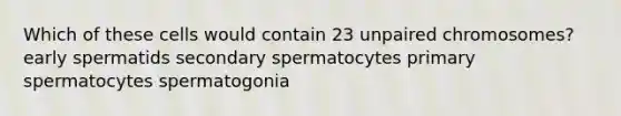 Which of these cells would contain 23 unpaired chromosomes? early spermatids secondary spermatocytes primary spermatocytes spermatogonia