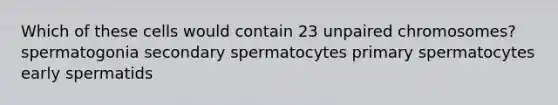 Which of these cells would contain 23 unpaired chromosomes? spermatogonia secondary spermatocytes primary spermatocytes early spermatids