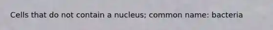 Cells that do not contain a nucleus; common name: bacteria