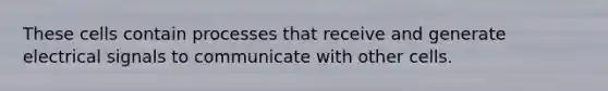 These cells contain processes that receive and generate electrical signals to communicate with other cells.