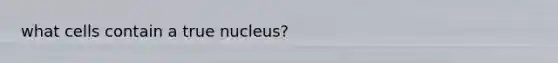 what cells contain a true nucleus?