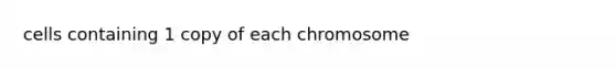 cells containing 1 copy of each chromosome