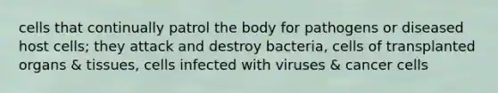 cells that continually patrol the body for pathogens or diseased host cells; they attack and destroy bacteria, cells of transplanted organs & tissues, cells infected with viruses & cancer cells