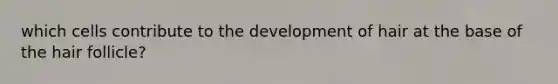 which cells contribute to the development of hair at the base of the hair follicle?