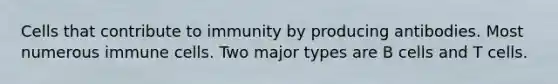 Cells that contribute to immunity by producing antibodies. Most numerous immune cells. Two major types are B cells and T cells.