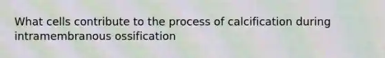 What cells contribute to the process of calcification during intramembranous ossification