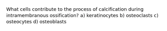 What cells contribute to the process of calcification during intramembranous ossification? a) keratinocytes b) osteoclasts c) osteocytes d) osteoblasts