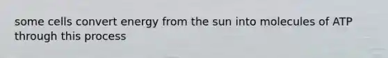 some cells convert energy from the sun into molecules of ATP through this process