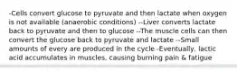 -Cells convert glucose to pyruvate and then lactate when oxygen is not available (anaerobic conditions) --Liver converts lactate back to pyruvate and then to glucose --The muscle cells can then convert the glucose back to pyruvate and lactate --Small amounts of every are produced in the cycle -Eventually, lactic acid accumulates in muscles, causing burning pain & fatigue