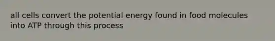 all cells convert the potential energy found in food molecules into ATP through this process