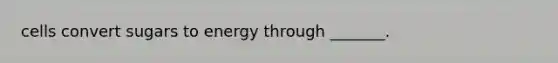 cells convert sugars to energy through _______.