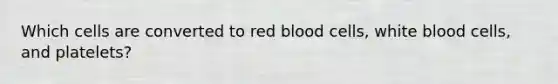 Which cells are converted to red blood cells, white blood cells, and platelets?