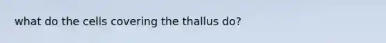 what do the cells covering the thallus do?