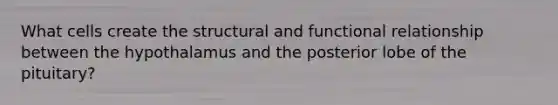 What cells create the structural and functional relationship between the hypothalamus and the posterior lobe of the pituitary?