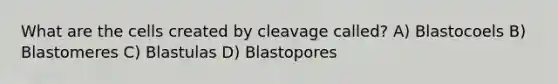 What are the cells created by cleavage called? A) Blastocoels B) Blastomeres C) Blastulas D) Blastopores