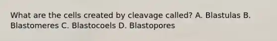 What are the cells created by cleavage called? A. Blastulas B. Blastomeres C. Blastocoels D. Blastopores