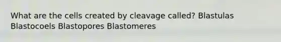 What are the cells created by cleavage called? Blastulas Blastocoels Blastopores Blastomeres