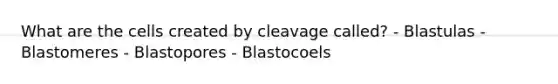 What are the cells created by cleavage called? - Blastulas - Blastomeres - Blastopores - Blastocoels