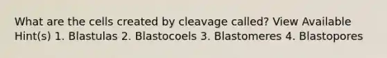 What are the cells created by cleavage called? View Available Hint(s) 1. Blastulas 2. Blastocoels 3. Blastomeres 4. Blastopores