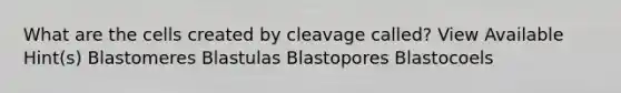 What are the cells created by cleavage called? View Available Hint(s) Blastomeres Blastulas Blastopores Blastocoels