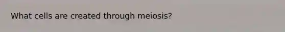 What cells are created through meiosis?