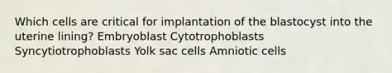 Which cells are critical for implantation of the blastocyst into the uterine lining? Embryoblast Cytotrophoblasts Syncytiotrophoblasts Yolk sac cells Amniotic cells