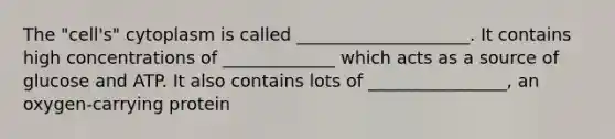 The "cell's" cytoplasm is called ____________________. It contains high concentrations of _____________ which acts as a source of glucose and ATP. It also contains lots of ________________, an oxygen-carrying protein