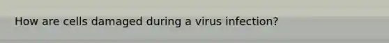 How are cells damaged during a virus infection?