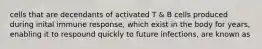 cells that are decendants of activated T & B cells produced during inital immune response, which exist in the body for years, enabling it to respound quickly to future infections, are known as